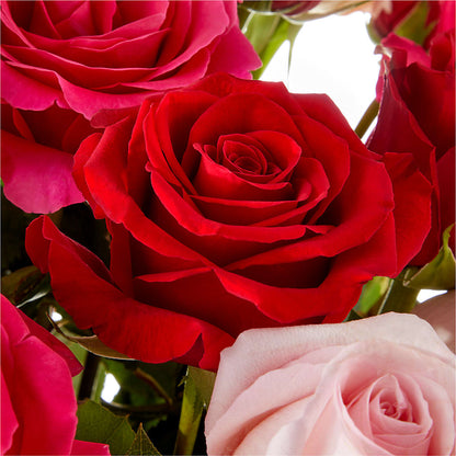 Love Notes Rose Bouquet –  Olive Branch Flowers, Chittenango NY