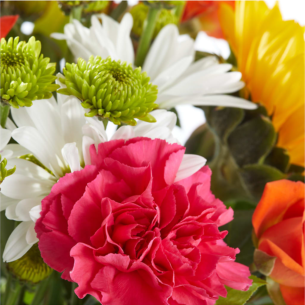 Sun-drenched Blooms Bouquet –  Olive Branch Flowers, Chittenango NY