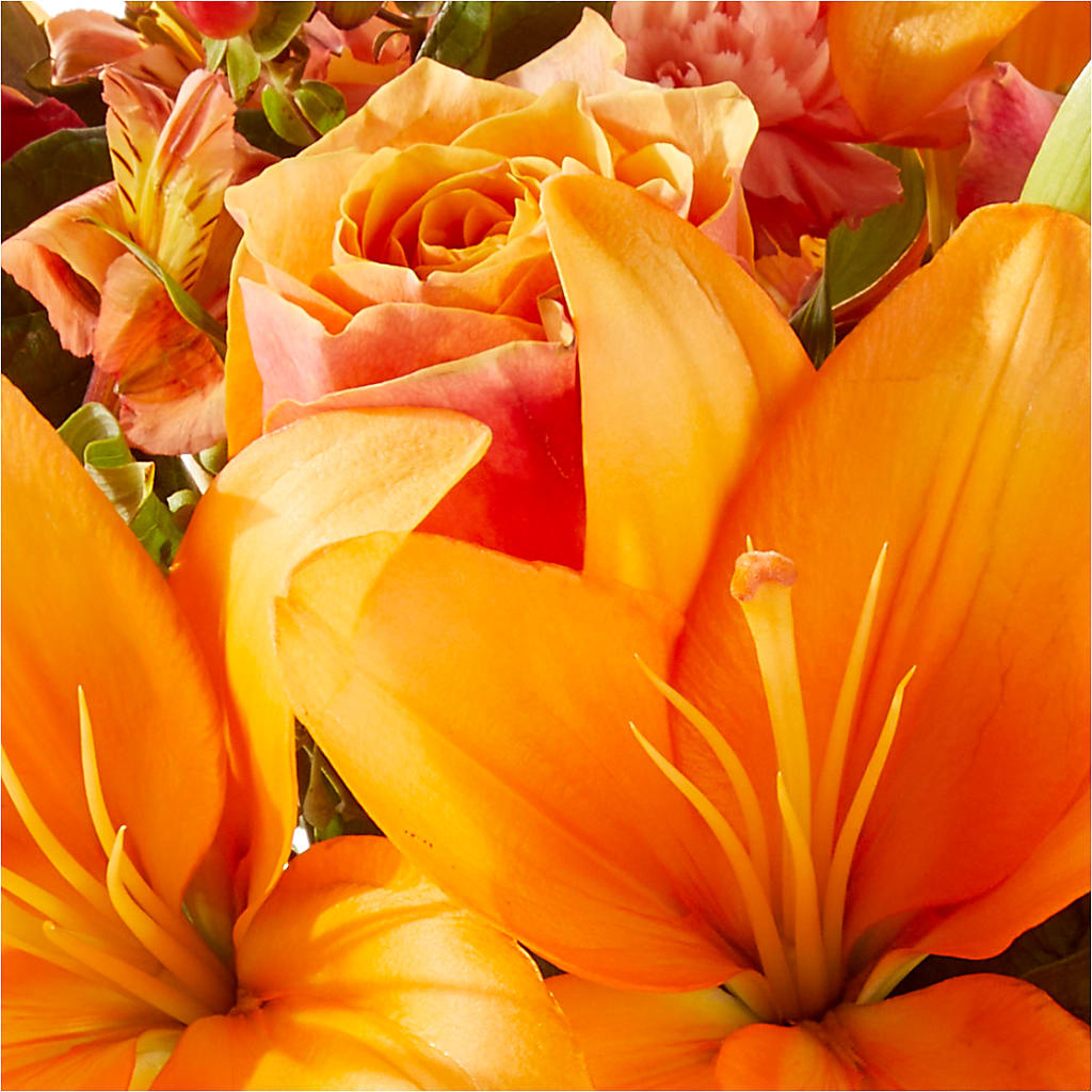 Afternoon Light Bouquet –  Olive Branch Flowers, Chittenango NY