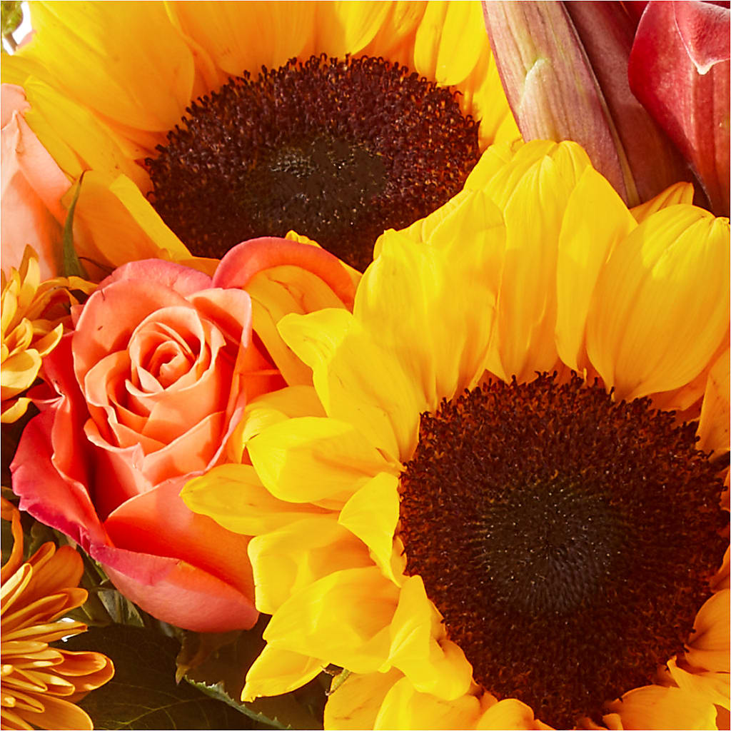 Acorn Lane Bouquet –  Olive Branch Flowers, Chittenango NY