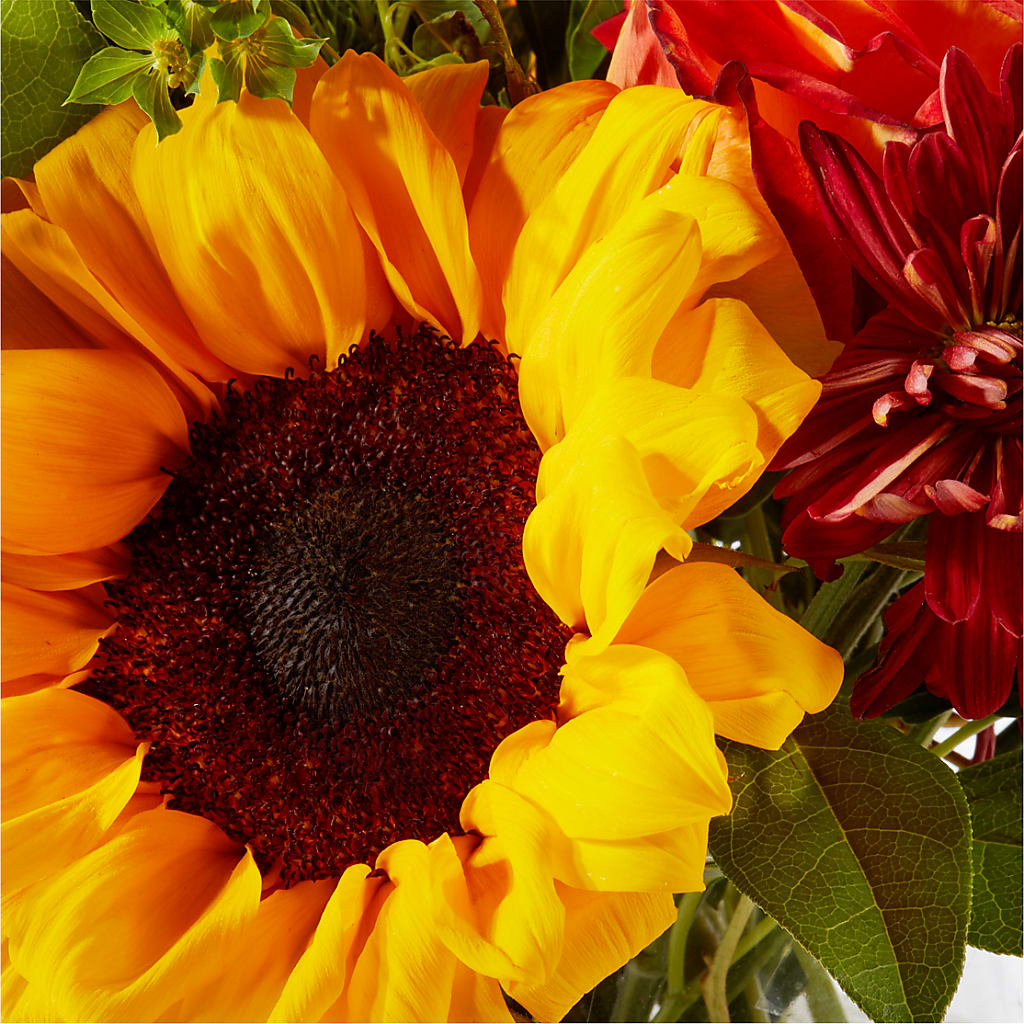 Harvest Festival Bouquet –  Olive Branch Flowers, Chittenango NY