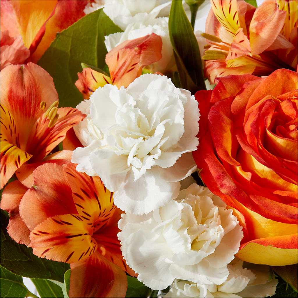 Apricot Glow Bouquet –  Olive Branch Flowers, Chittenango NY