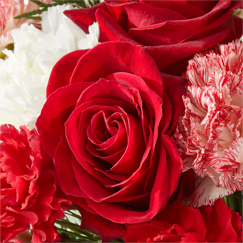 Candy Cane Lane Bouquet –  Olive Branch Flowers, Chittenango NY