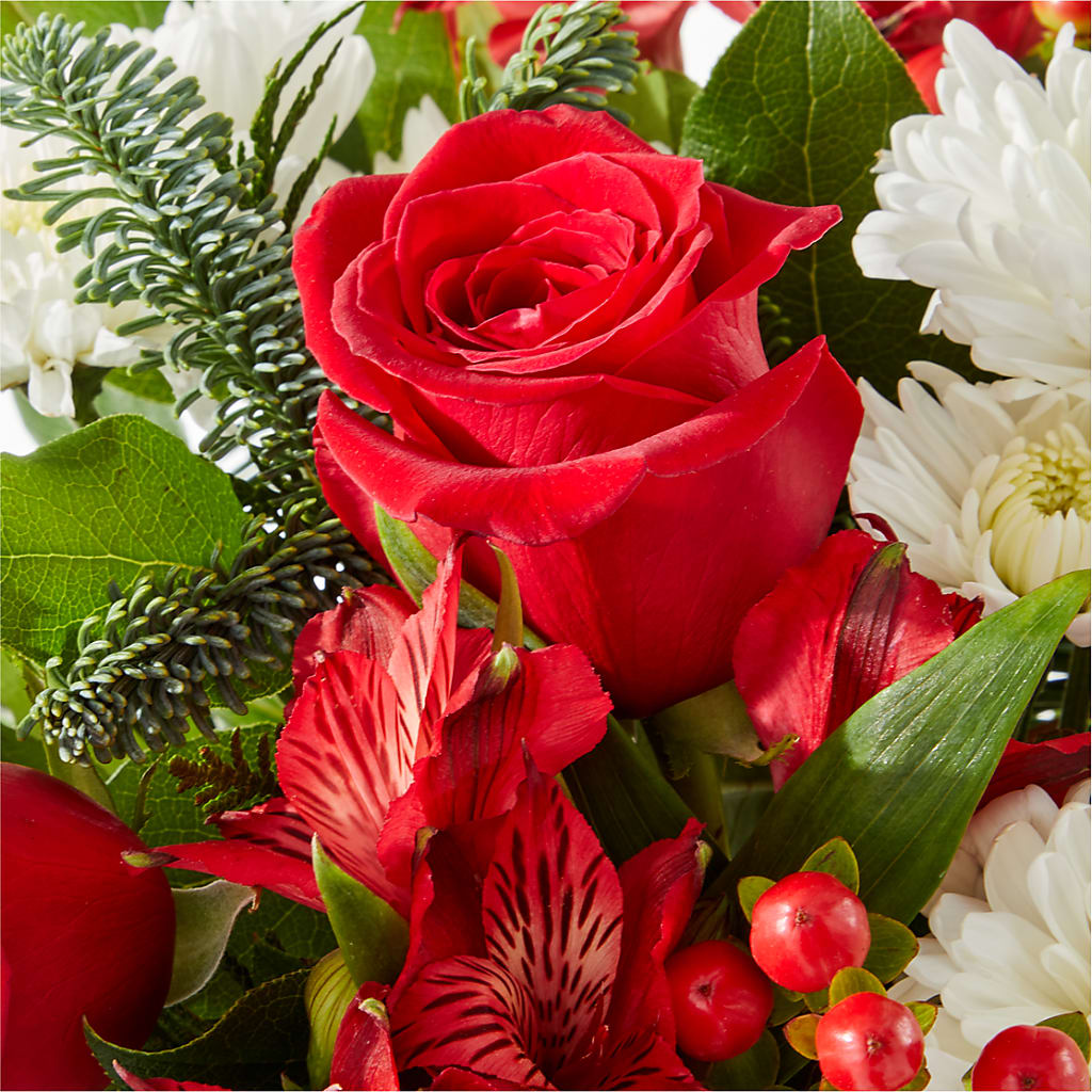 Letters to Santa Bouquet –  Olive Branch Flowers, Chittenango NY