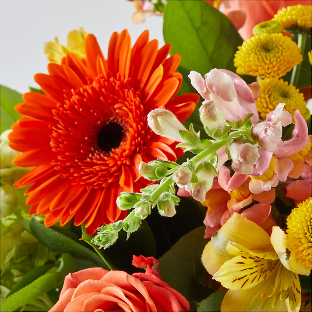 Autumn Sunshine Bouquet –  Olive Branch Flowers, Chittenango NY