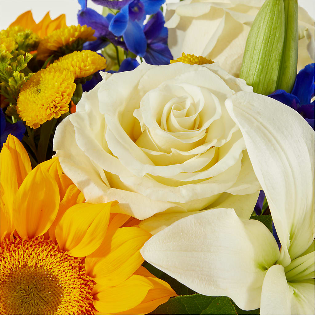 Stargazing Bouquet –  Olive Branch Flowers, Chittenango NY