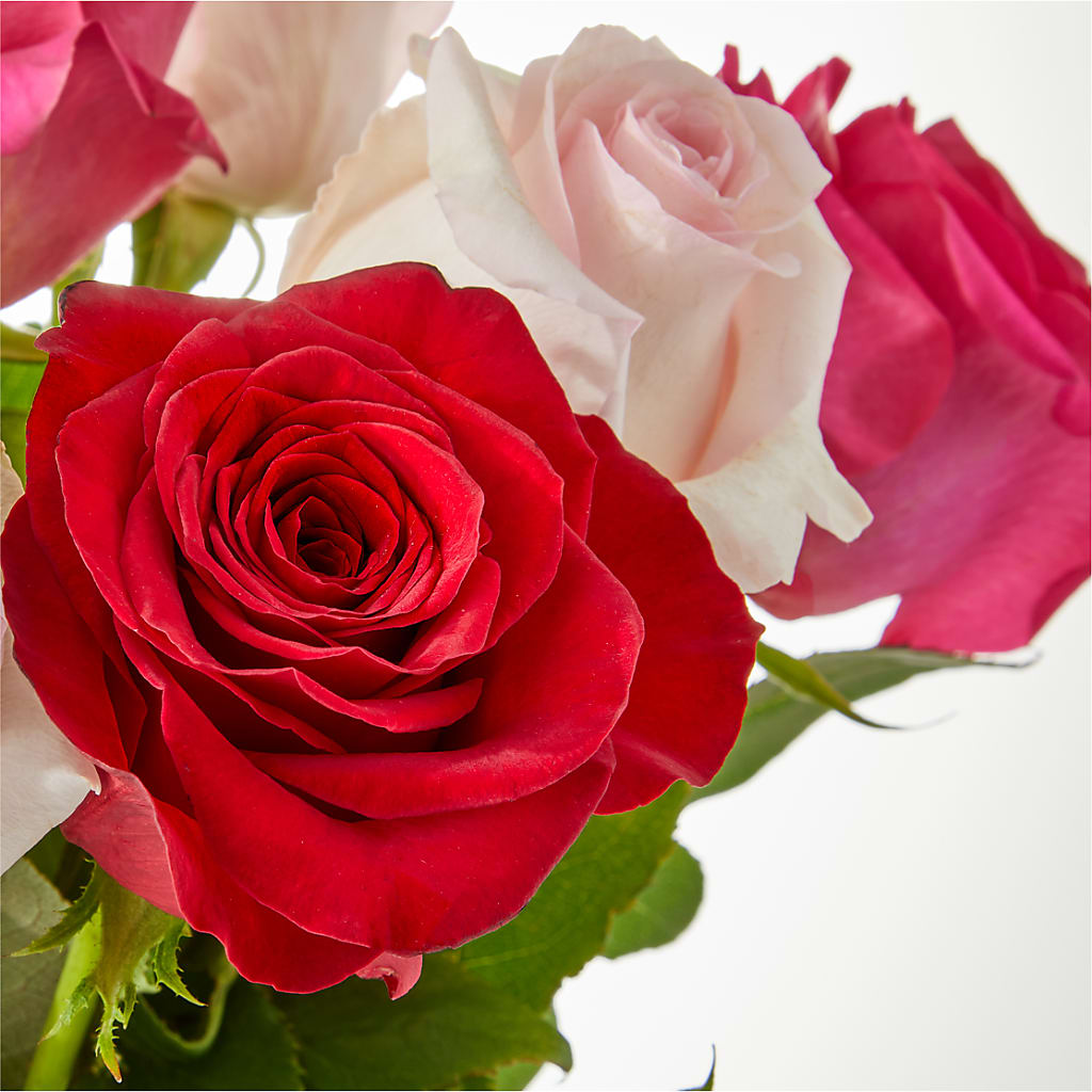 Charming Rose Bouquet –  Olive Branch Flowers, Chittenango NY