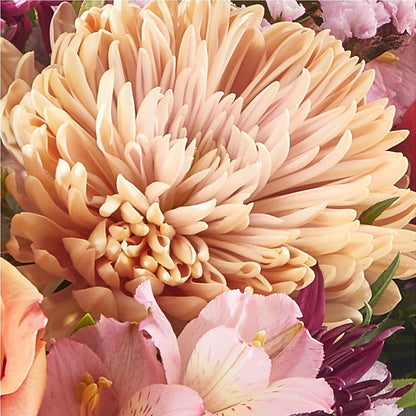 Berry Cobbler Bouquet –  Olive Branch Flowers, Chittenango NY