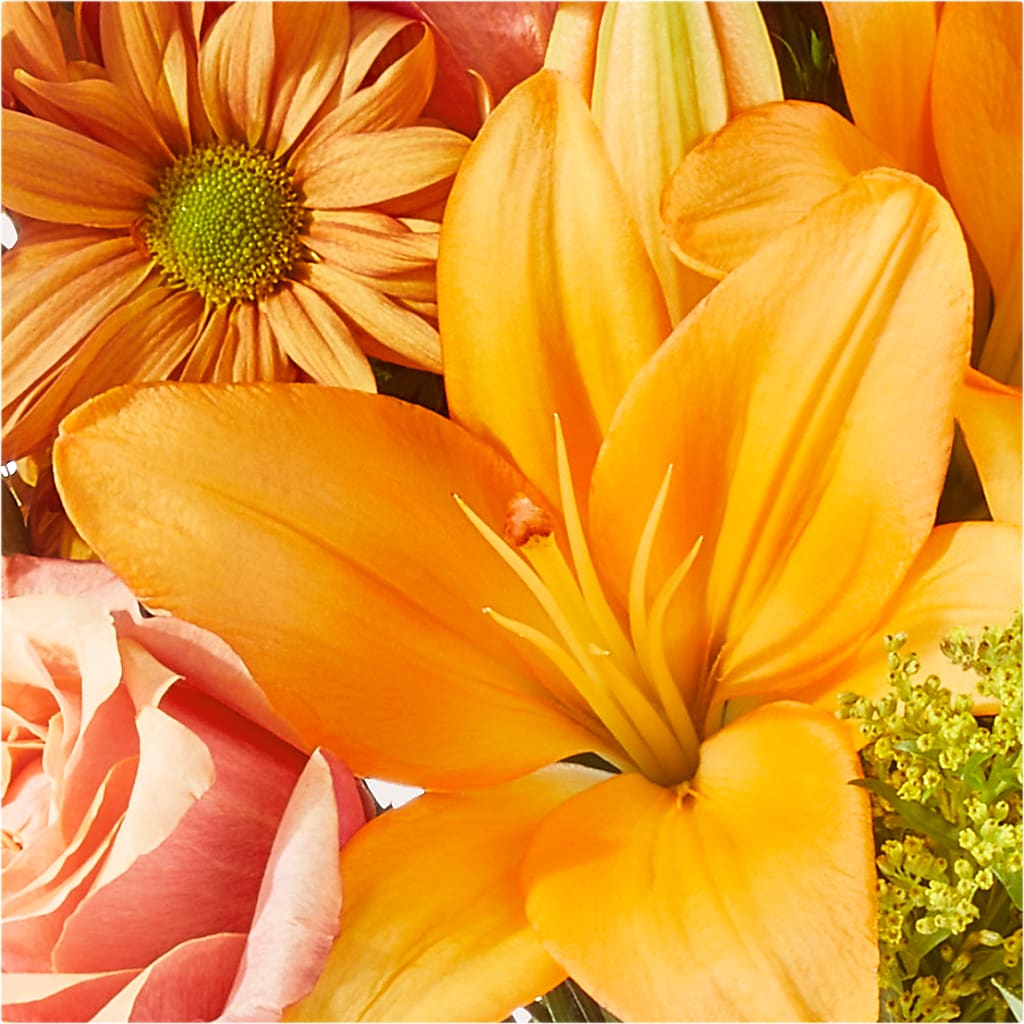 Harvest Hayride Bouquet –  Olive Branch Flowers, Chittenango NY