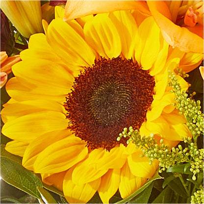 Seasons Change Bouquet –  Olive Branch Flowers, Chittenango NY