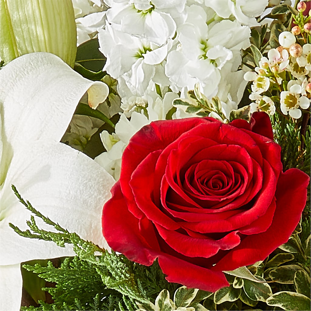 Twinkle Lights Bouquet –  Olive Branch Flowers, Chittenango NY
