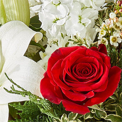 Twinkle Lights Bouquet –  Olive Branch Flowers, Chittenango NY