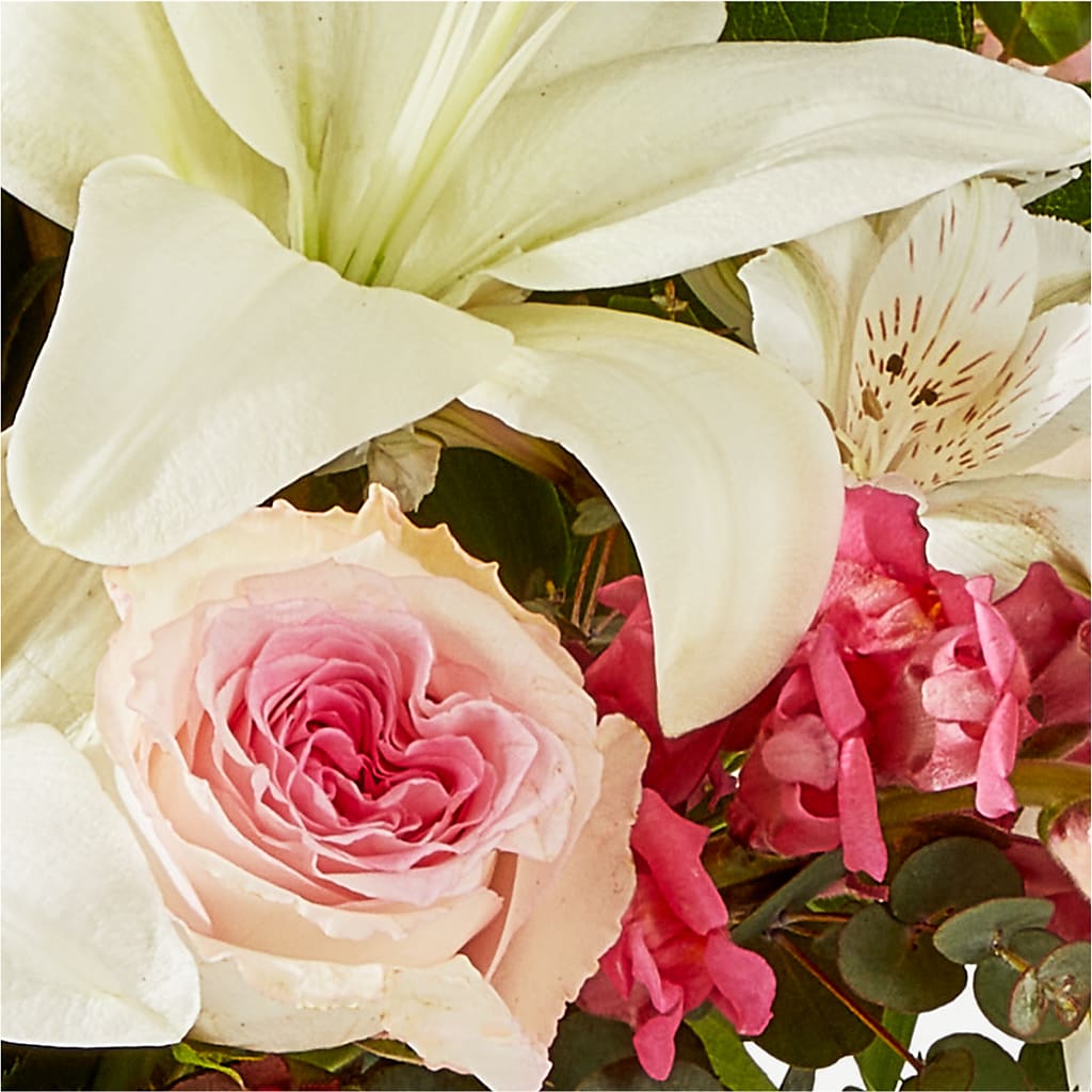 Ballet Slippers Bouquet –  Olive Branch Flowers, Chittenango NY
