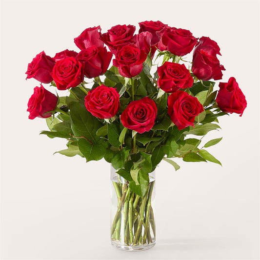 The One Red Rose Bouquet –  Olive Branch Flowers, Chittenango NY