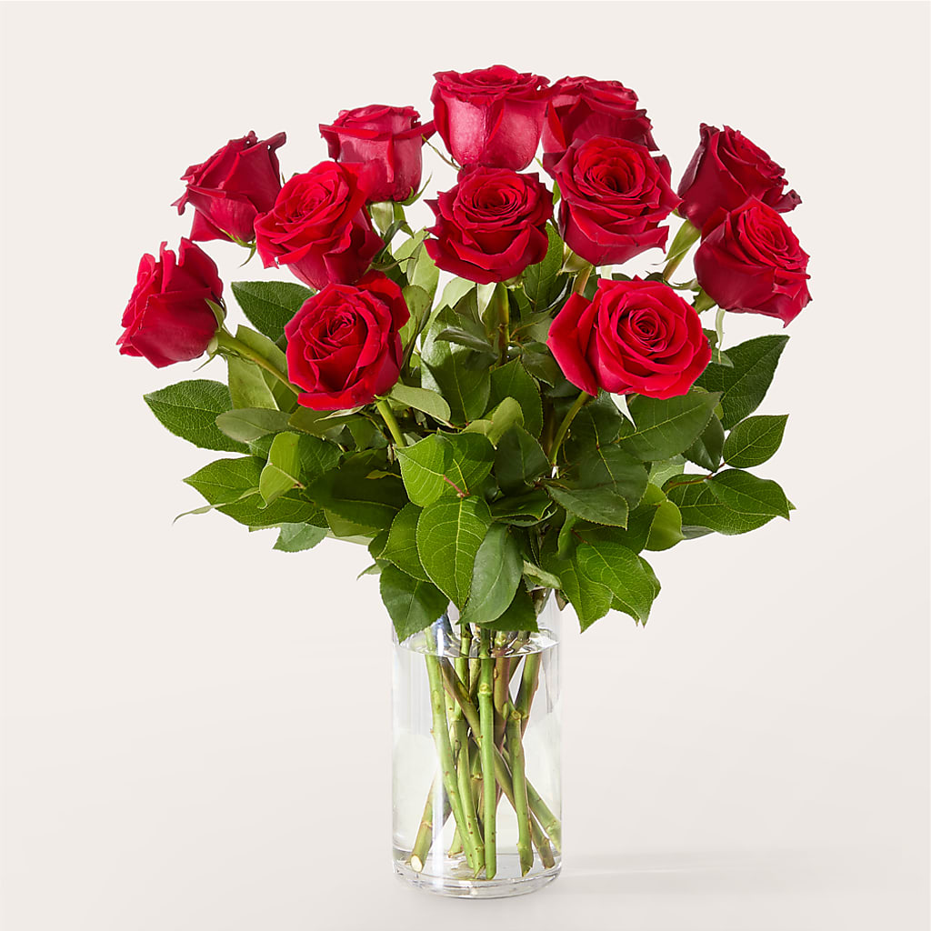 The One Red Rose Bouquet –  Olive Branch Flowers, Chittenango NY