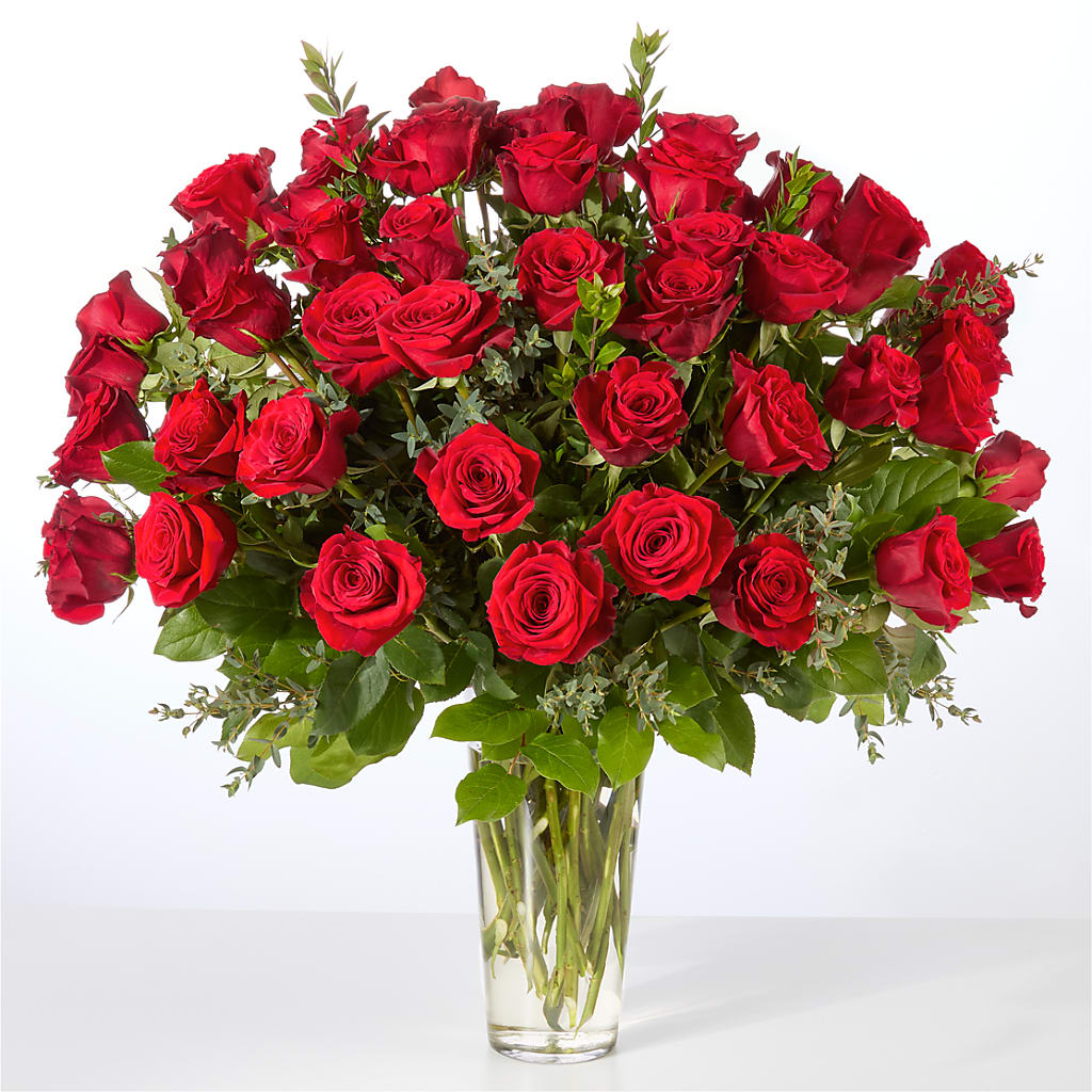 Forever Yours Fifty Stem Red Rose Bouquet –  Olive Branch Flowers, Chittenango NY