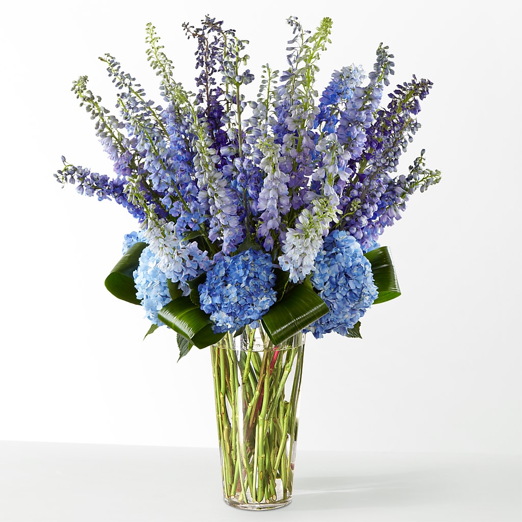 The Editorial –  Olive Branch Flowers, Chittenango NY