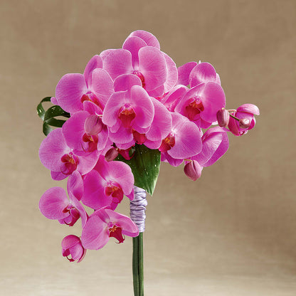 Glorious Bouquet –  Olive Branch Flowers, Chittenango NY