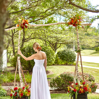 Arbor of Love Archway –  Olive Branch Flowers, Chittenango NY