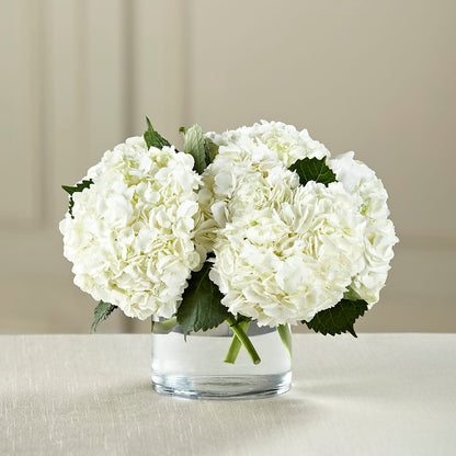 White Hydrangea Bouquet –  Olive Branch Flowers, Chittenango NY