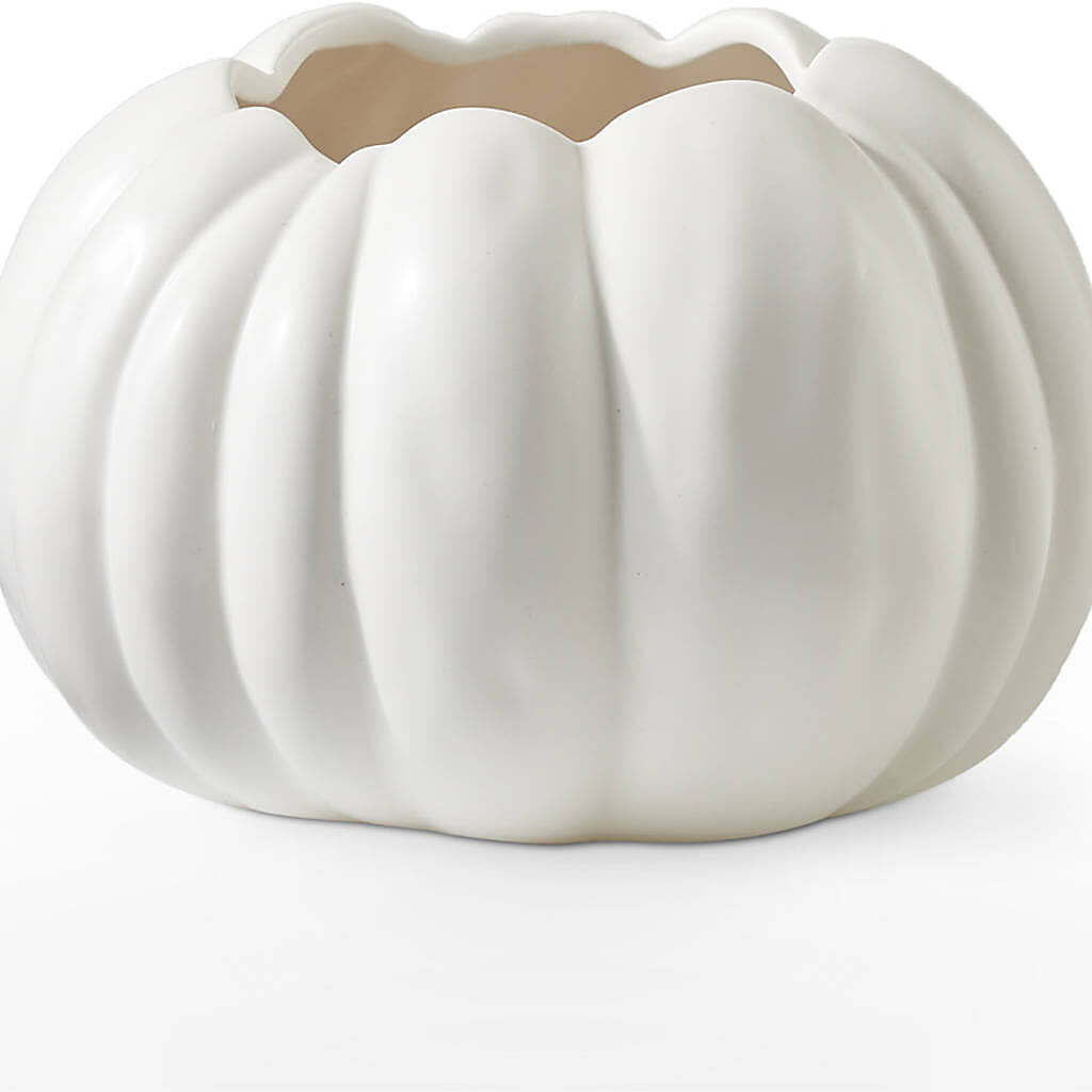 Pumpkin to Talk About Bouquet –  Olive Branch Flowers, Chittenango NY